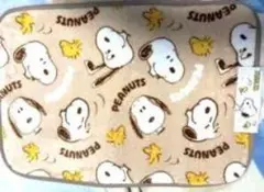 PEANUTS スヌーピー フラットポーチ ベージュ