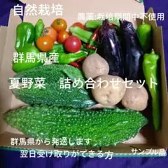 自然栽培 農薬不使用 野菜セット 野菜詰め合わせのサムネイル