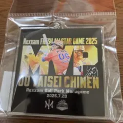 Item thumbnail for item d9414068-8951-4056-a337-17f94b85aaa8