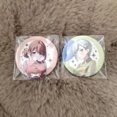 プロセカ 4th 感謝祭 缶バッジA 日野森志穂 望月穂波