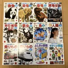 ハッピーセット　図鑑　12冊セット
