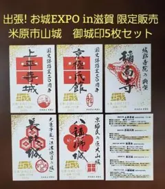 Item thumbnail for item 3247ea0d-9dd9-4cff-b9a6-5e67fdd429f1