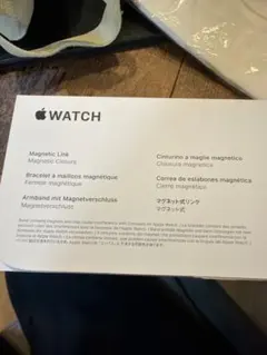 Apple Watch 45mm マグネットリンク パシフィックブルー