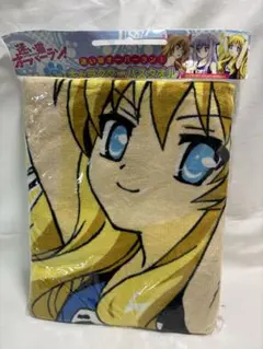 Item thumbnail for item 5517cc35-d9f7-4624-a0ce-a745afc2c9b4