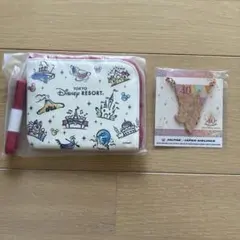 新品　ディズニー　パスケース　チャーム