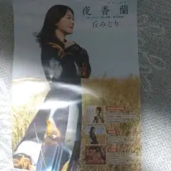 丘みどり 新曲パンフレット
