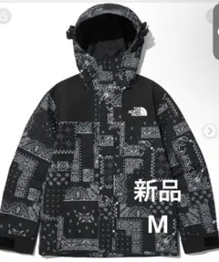 韓国限定　ノースフェイス マウンテンジャケット ゴアテックス M ペイズリー