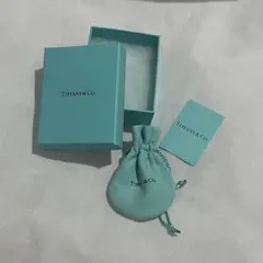 【オンライン限定】ティファニー インフィニティ ペンダント