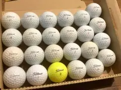 Titleist タイトリスト ロストボール PRO V1 V1x 24球