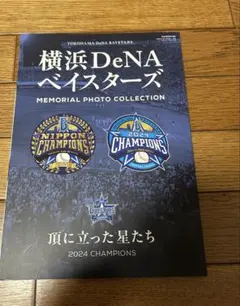 Item thumbnail for item ef03f9ae-8478-4e76-8b85-25b170d0f016