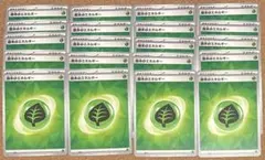 ポケモンカード 基本草エネルギー