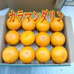 果物 カラマンシー 500g 新鮮 四季柑 チャイナリトルレモン - メルカリ