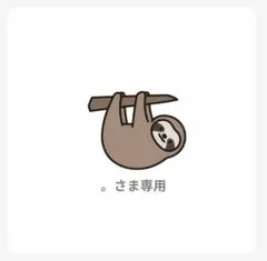 。様 リクエスト 2点 まとめ商品　amiiboカード