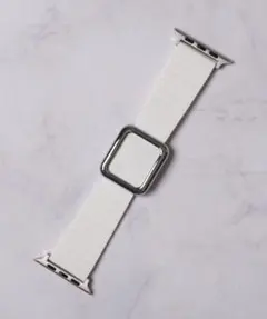 zandy アップルウォッチバンド マグネットシリコンバンド