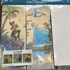 ファンタジースプリングス　ディズニーシー　ミニタオル ピーターパン アナ雪