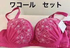 Salute by WACOAL W BASIC ブラジャー セット d65 ①