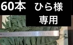 ひら様　専用のサムネイル