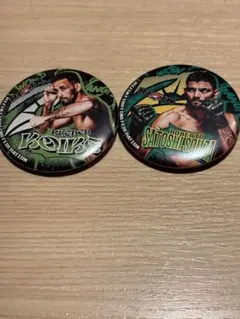 Item thumbnail for item 76bd0aaa-4e2b-4a3f-8140-9672bea91ff2