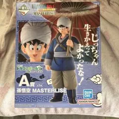 Item thumbnail for item 31e2c0ac-eeb0-4112-b2c9-b99bc9a8fc91