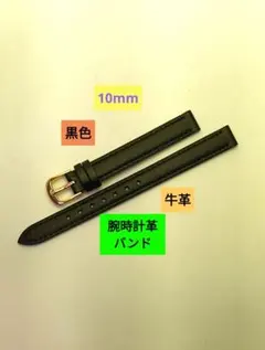 Item thumbnail for item fbc0662a-ad30-4b95-8a5e-efc3cd52f857