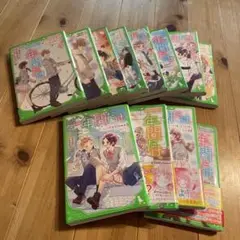 一年間だけ　全巻セット