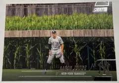 レオン様 リクエスト 2点 まとめ商品