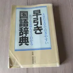 Item thumbnail for item f91f6afe-72c5-47d8-a12f-c972b4b0f1a7