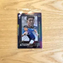 Item thumbnail for item 5121472d-c862-40d3-bb22-1f18f8197e0a