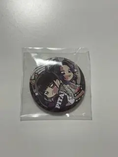 鬼滅の刃 しのぶ カナヲ 缶バッジ ＆カナヲ　キーホルダーの2個セット‼️