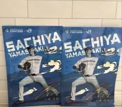 2枚セット♡北海道日本ハムファイターズ 山﨑福也 クリアファイル 非売品♡