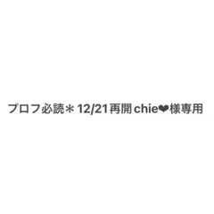 プロフ必読＊12/21再開chie❤︎様専用フェイクブック③④⑥⑦⑩