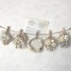 Item thumbnail for item bcce9d34-ee0b-4c7d-b2c7-3a698cf923e8