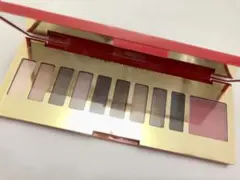 エスティローダー　ピュアカラー　エンヴィ　アイアンドチーク　パレット　グラム