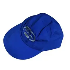 Item thumbnail for item 4c07214b-a2dd-4eb6-824d-67fefc514bfc