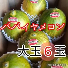 長崎県島原半島産パパイヤメロン6玉入のサムネイル