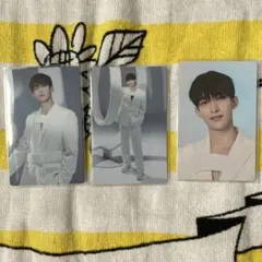 SEVENTEEN ドギョム 2020 JAPAN DOME TOUR トレカ - メルカリ