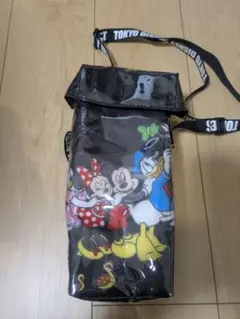 ディズニーキャラクター　ポップコーン　バッグ　ケース