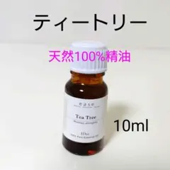 新品⭐天然100％ティートリー精油【10ml】リフレッシュ・ウイルス対策にものサムネイル