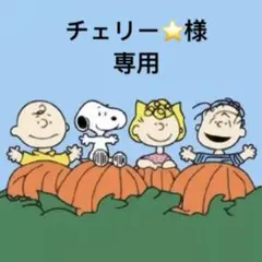 チェリー⭐様 リクエスト 4点 まとめ商品