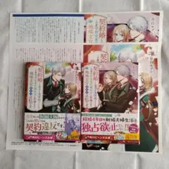契約婚した相手が鬼宰相でしたが、この度宰相室専任補佐官に任命された地味文官〈変…