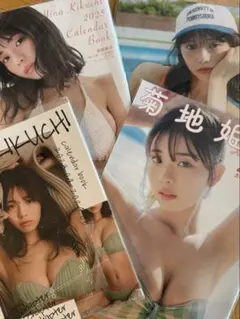 【激レア稀少品】菊地姫奈さんカレンダーブック2024公式特典アクリルスタンド 激レア稀少品】菊地姫奈さんカレンダーブック2024公式特典アクリル