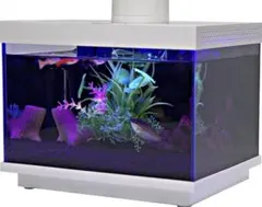 【新品】オールインワン スマート水槽 多機能水槽 FiSH-α2（容量6.9L）のサムネイル