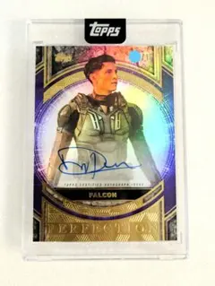 貴重 マンダロリアン スターウォーズ topps モフギデオン サイン