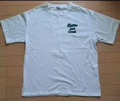 INGNI Splite and Crush 半袖Tシャツ