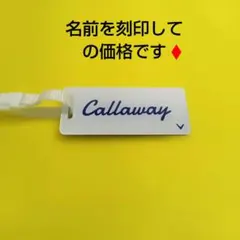 Item thumbnail for item 74431390-8cf4-453c-a4d7-8750e3b3ae3a