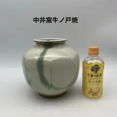 Item thumbnail for item 6ecf8878-7c2a-422e-8d61-0984654599a7