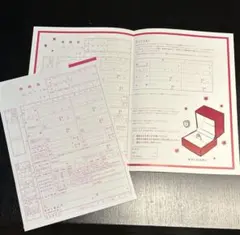 Item thumbnail for item ba1e955a-29c1-4be2-9fb1-8ebb216879d1