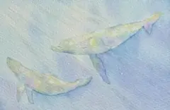 オリジナル手描きイラスト　『クジラ』　水彩画　はがきサイズ　アナログ原画