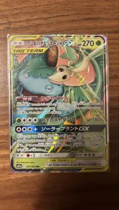 『フシギバナ&ツタージャGX RR　1枚』