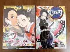 鬼滅の刃　胡蝶しのぶ　JC柄クリアファイルコレクション第1弾